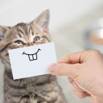 Umorul, cheia pentru o bătrânețe sănătoasă și fericită