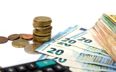 Bugetul României, lovitură grea: subvenții mai mici cu peste 20% în 2026