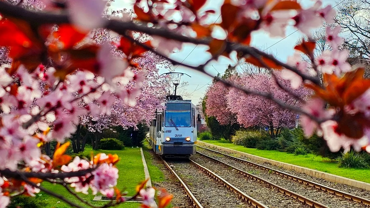 În prima parte a lunii aprilie, Bucureștiul devine gazda unui calendar cultural diversificat, care include festivaluri teatrale, expoziții de artă și evenimente muzicale de amploare