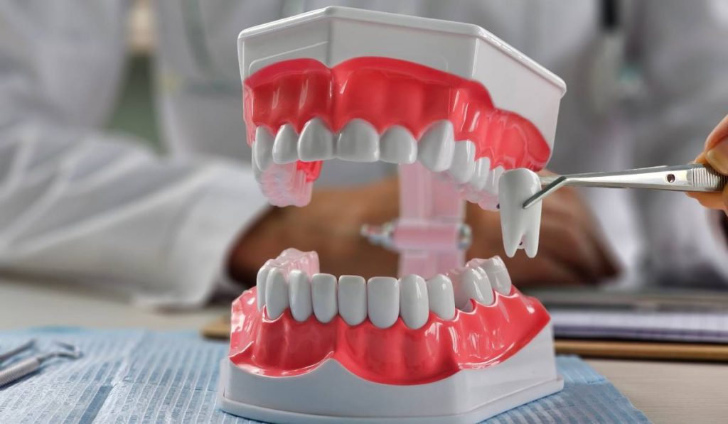 Extracție sau nu în ortodonție? Ce spun medicii și de ce contează