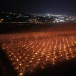 „Am ars” 40.000 de euro ca să salvăm pomii, povestește un fermier din Cluj – FOTO, VIDEO