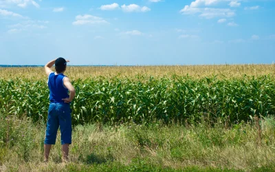 Vecinii reclamează: Ce NU ai voie să depozitezi pe terenul tău din România