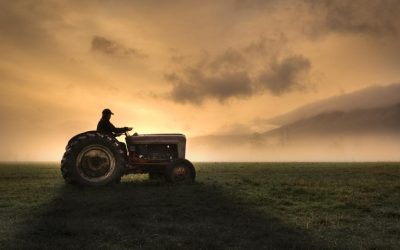Fermierii, strigăt de alarmă: Guvern și UE, opriți criza din agricultură!