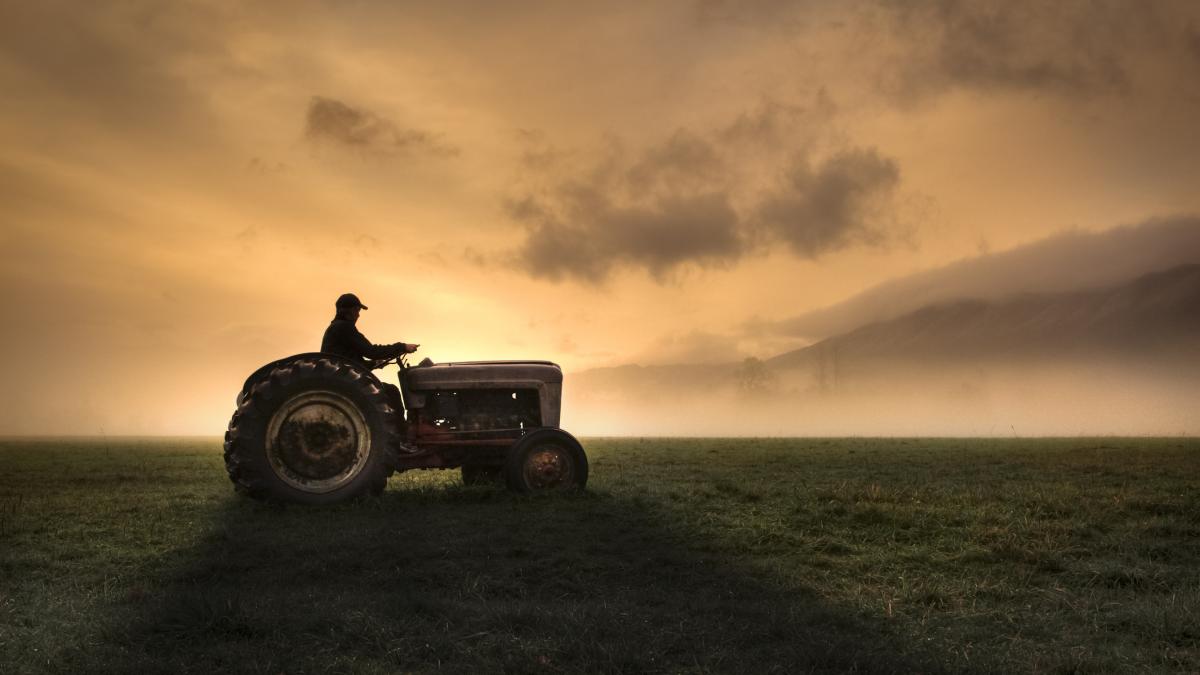 Fermierii, strigăt de alarmă: Guvern și UE, opriți criza din agricultură!