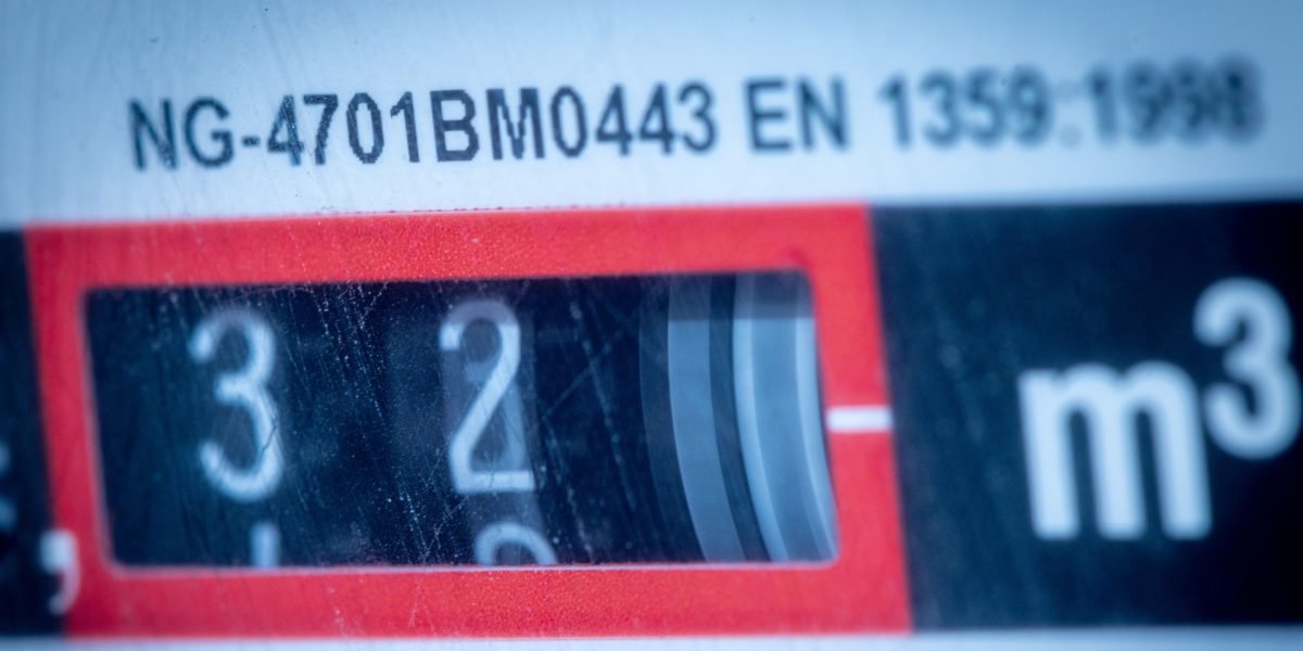 gazora-819676.jpg - StiriAlese