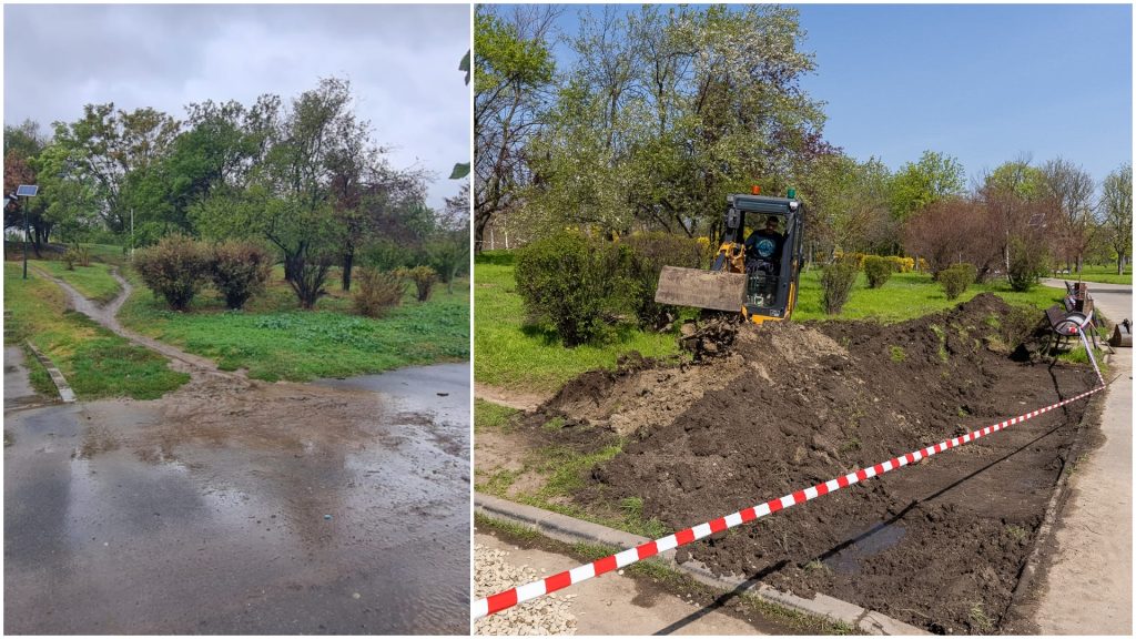 Prima grădină de ploaie din București, în Parcul Tineretului