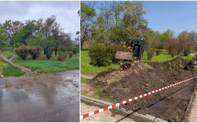 Prima grădină de ploaie din București, în Parcul Tineretului