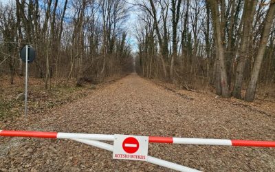 Federația GREENFIELD, reacție dură după ce ROMSILVA vrea să blocheze accesul în Băneasa