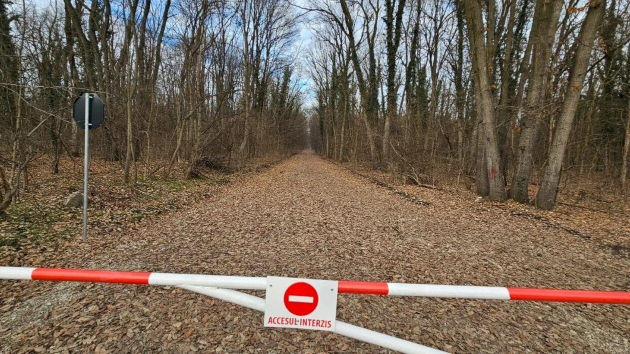 Federația GREENFIELD, reacție dură după ce ROMSILVA vrea să blocheze accesul în Băneasa