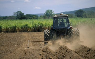 Agricultorii, legați de salariul minim: Guvernul stabilește o nouă regulă importantă