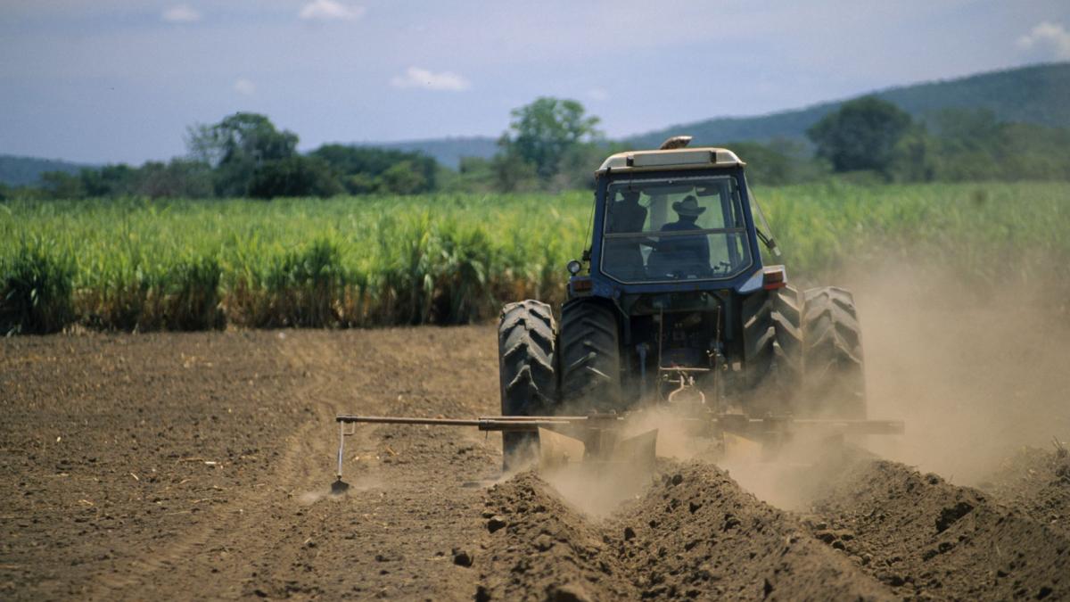 Agricultorii, legați de salariul minim: Guvernul stabilește o nouă regulă importantă
