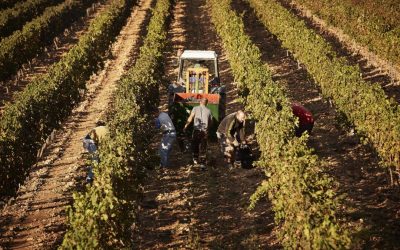 Spania legalizează 500.000 de imigranți: Cine se califică să aplice