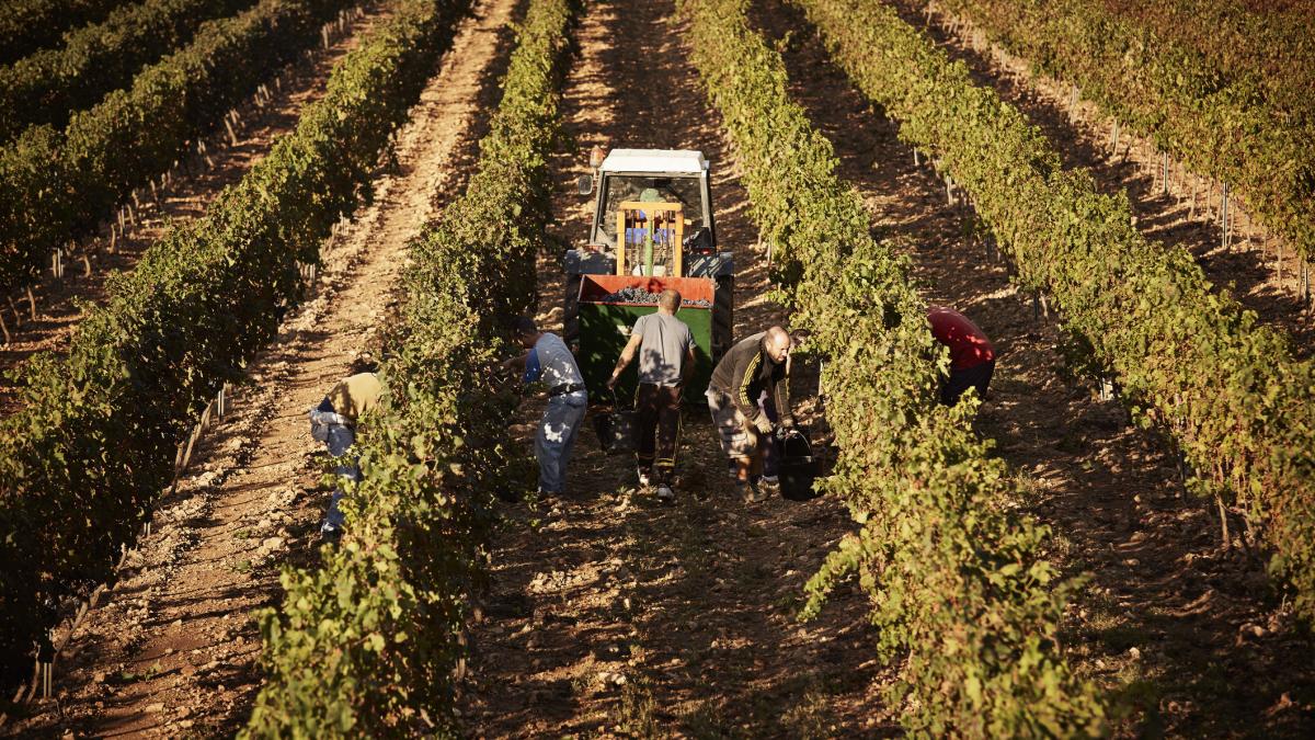 Spania legalizează 500.000 de imigranți: Cine se califică să aplice