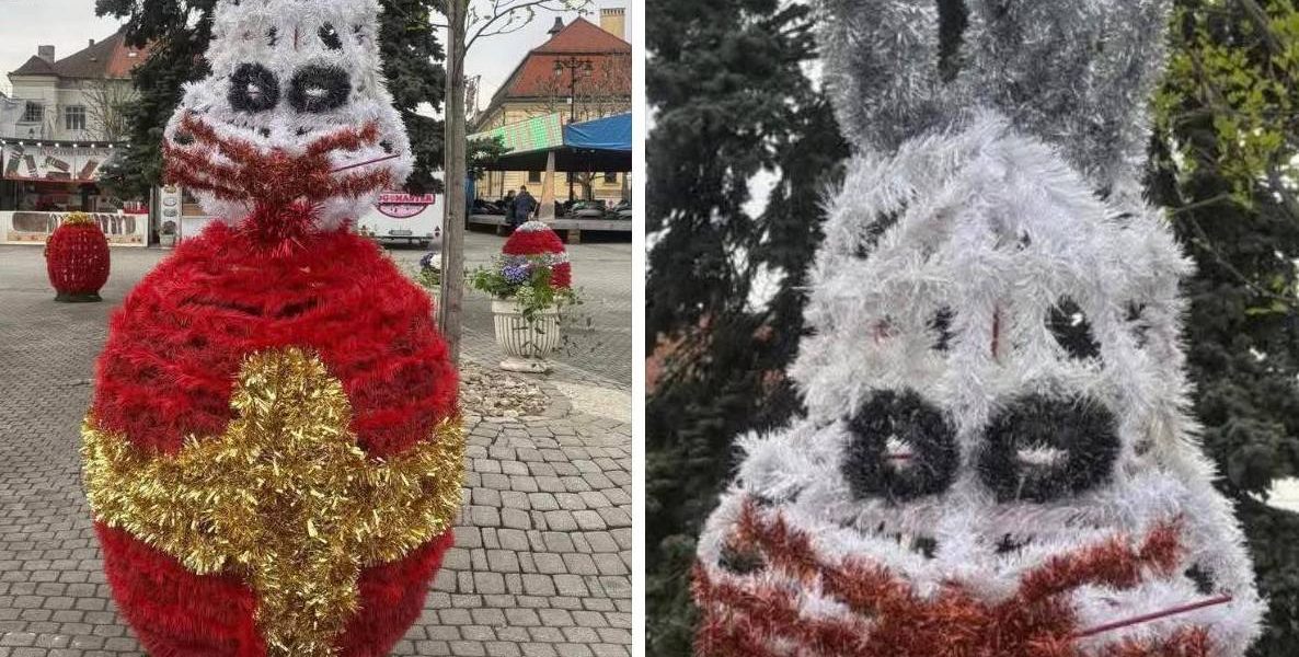 Iepurașii horror din Baia Mare șochează: „Te doare mintea cum arată!”