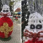 Iepurașii horror din Baia Mare șochează: „Te doare mintea cum arată!”