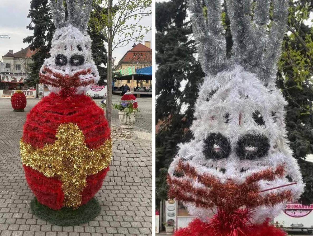 Iepurașii horror din Baia Mare șochează: „Te doare mintea cum arată!”