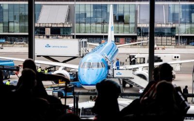 Aviile trag semnalul de alarmă: Uniunea Europeană, chemată să intervină urgent