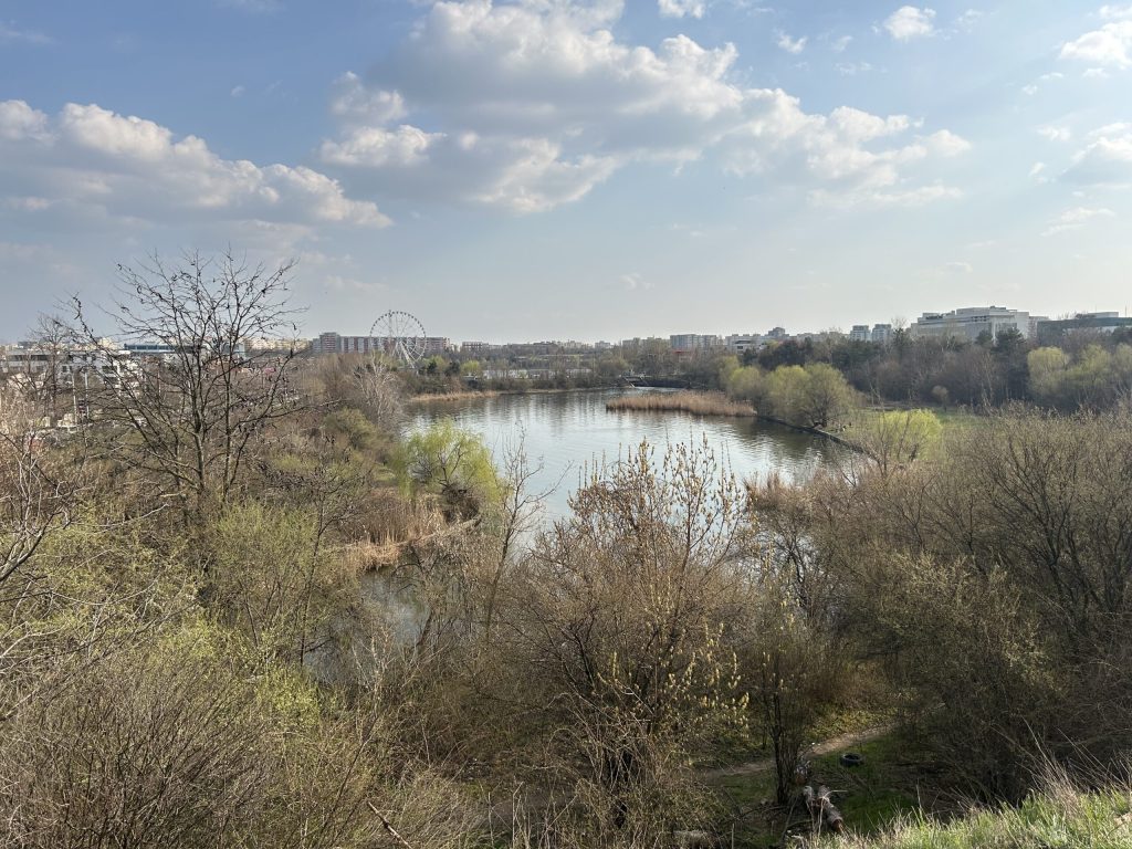 Pajiștea Petricani, o zonă naturală protejată în sectorul 2 al Bucureștiului, a devenit scena unor activități de construcție și defrișare ilegale, deși statutul de arie naturală interzice asemenea intervenții