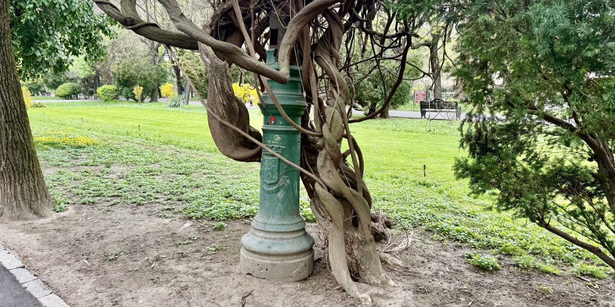 Cișmigiu: Mistere sub vopsea pe stâlpii vechi, secretele Bucureștiului