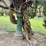 Cișmigiu: Mistere sub vopsea pe stâlpii vechi, secretele Bucureștiului