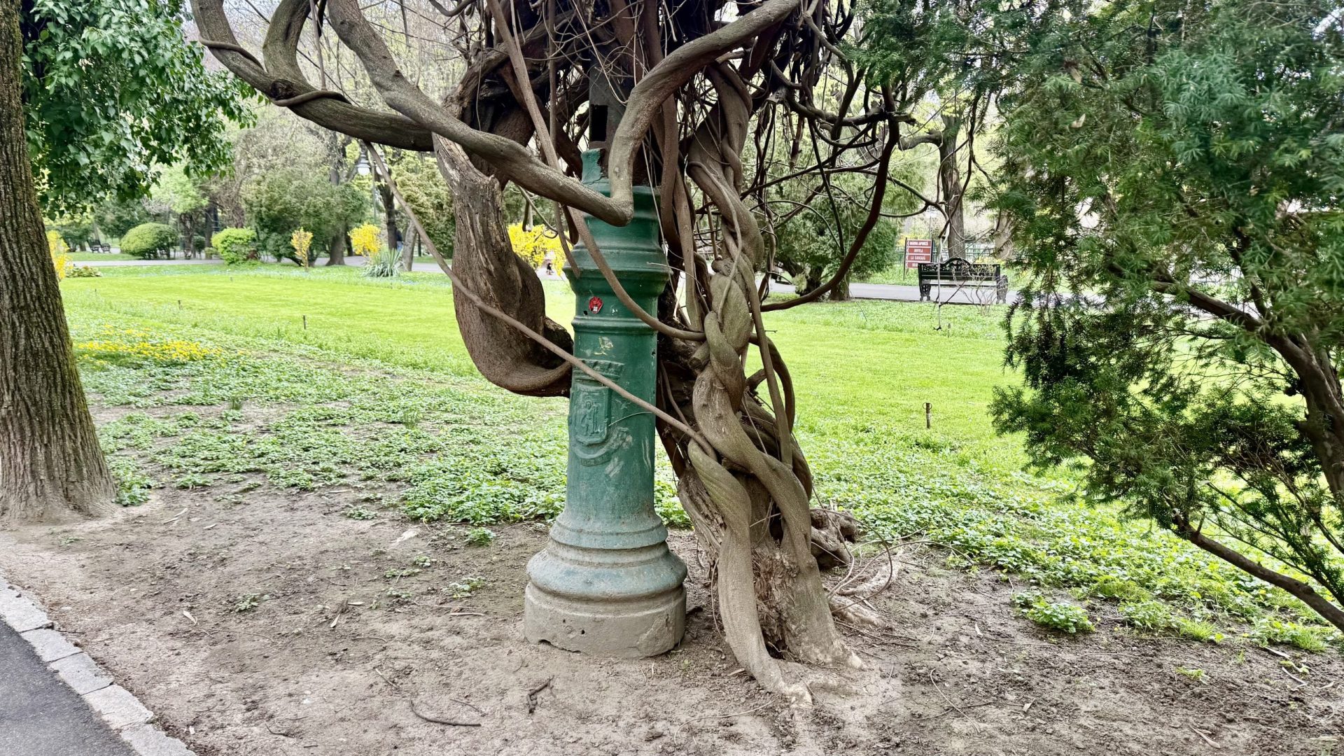 Cișmigiu: Mistere sub vopsea pe stâlpii vechi, secretele Bucureștiului