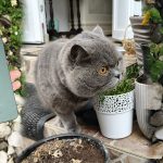 intro-1-scaled.jpg - StiriAlese