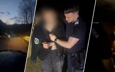 Ursul l-a speriat: Tânăr, urmărit în pădure, și-a lăsat motocicleta. Jandarmii au intervenit