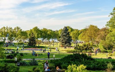 Festivaluri de Film, Hanami și Caravana Alpin: Weekend cu emoții