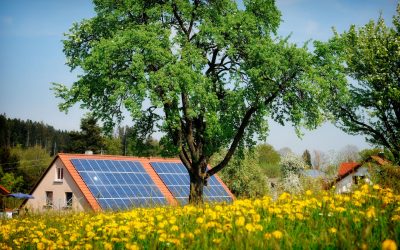 Lemn „solar” inovator: Produce energie chiar și noaptea!