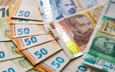 leva-euro.jpg - StiriAlese