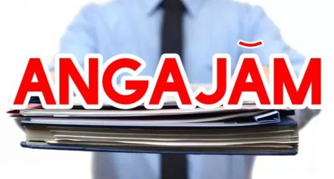 România: Bătălie cruntă pe piața muncii – Firmele se luptă pentru șoferi, curieri și necalificați