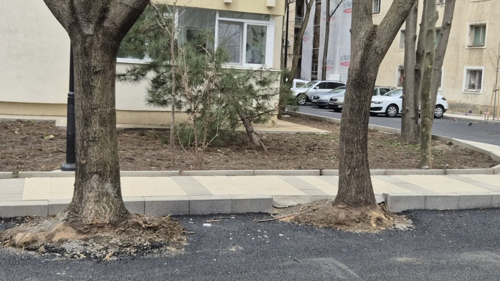 Hopincă, amendat după ce a transformat spațiul verde în parcări