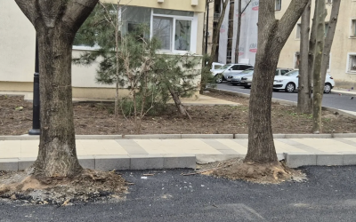 Hopincă, amendat după ce a transformat spațiul verde în parcări