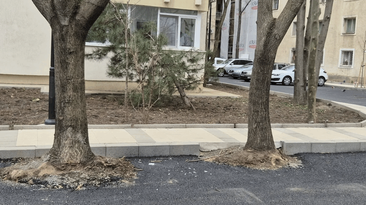 Hopincă, amendat după ce a transformat spațiul verde în parcări