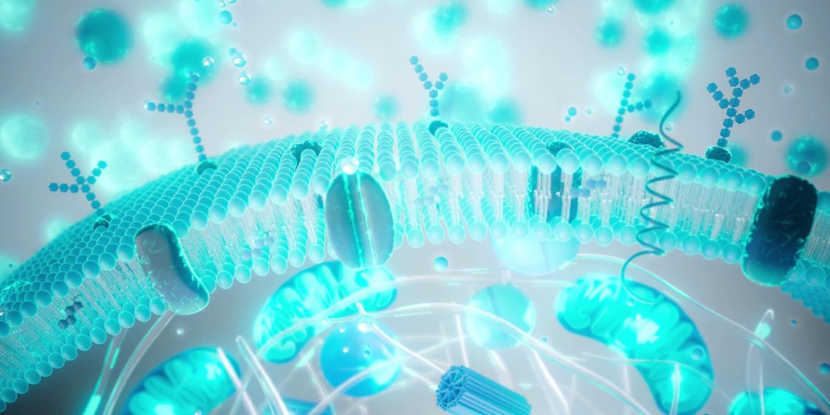 longevitatea-imbatranire-shutter_descopera-scaled.jpg - StiriAlese