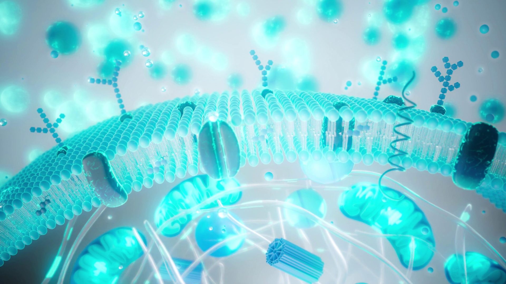 Industria longevității: promisiuni și limite științifice În ultimii ani, conceptul de a încetini procesul de îmbătrânire a depășit granițele science fiction-ului și a început să fie promovat intens în cadrul unei industrii considerate a fi soluția pentru o viață mai lungă și mai sănătoasă