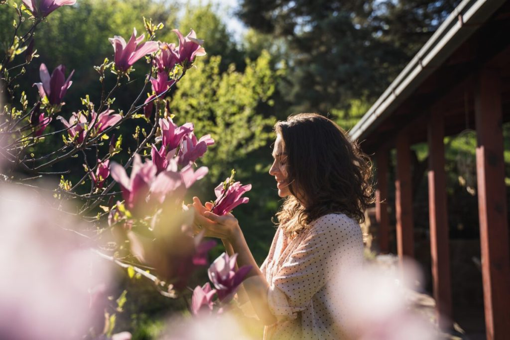 Copacul magic: Plantează-l în aprilie și-ți schimbi viața radical