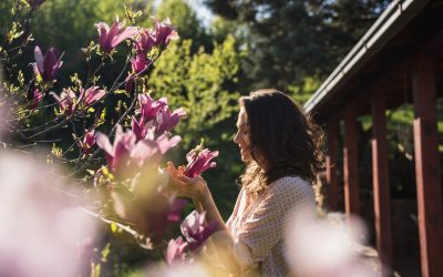 Copacul magic: Plantează-l în aprilie și-ți schimbi viața radical