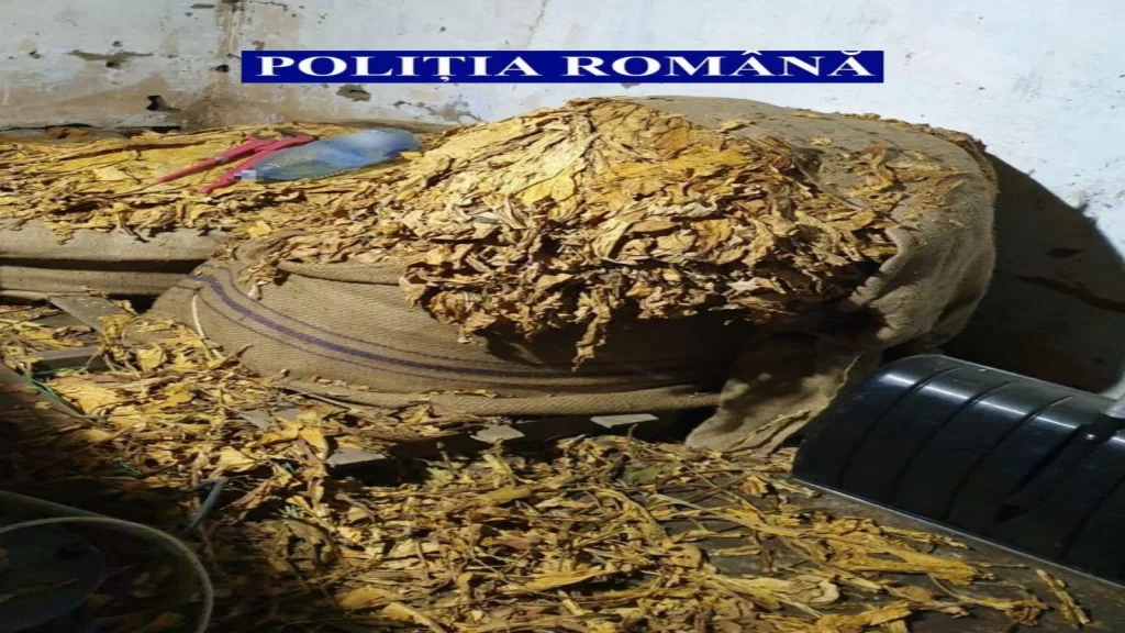 Tutun de-o tonă, ascuns într-o dubiță: Polițiștii, descoperire-șoc la graniță