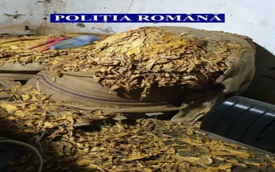 Tutun de-o tonă, ascuns într-o dubiță: Polițiștii, descoperire-șoc la graniță