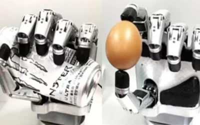 Roboții Delta Force din Arad, spre competiția FIRST: Strâng donații!