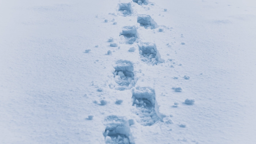 Iarna nu se lasă pe munte: Salvamont avertizează, pericol major fără echipament!