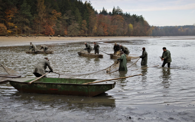 Controale piscicole: Amenzi GRELE după descoperiri șocante