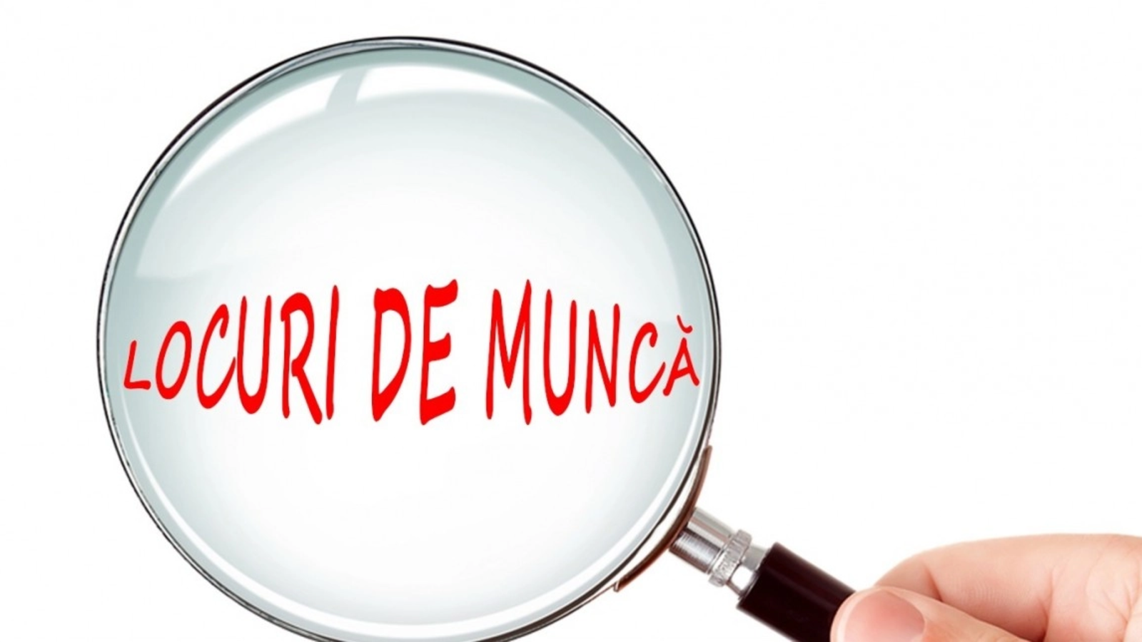Ce joburi se caută-n România? Salariile-s pe măsura cererii