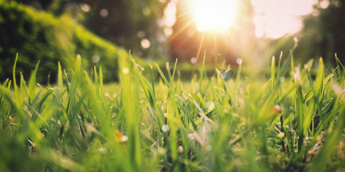 Vine căldura, dar România va avea parte de ploi