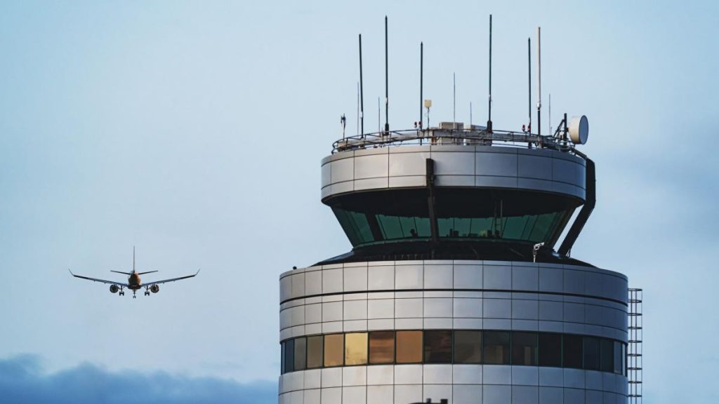 Miau-miau la bord: Piloții de pe zborul intern au miaunat și lătrat la turn