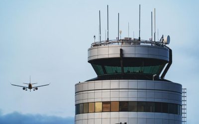 Miau-miau la bord: Piloții de pe zborul intern au miaunat și lătrat la turn