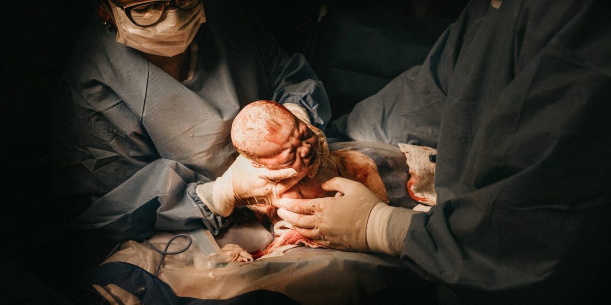 Senator USR Cynthia Păun, apel către autorități: Jos panourile pro-naștere din București