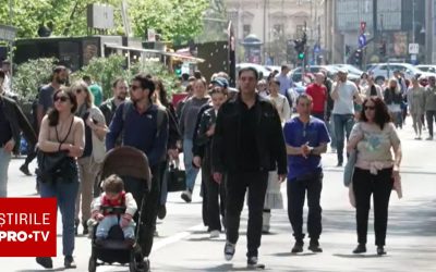 Bucureștiul vibrează: Street Food Festival pe Kiseleff, cu delicii și concerte