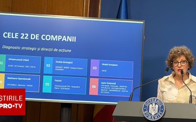 Oana Gheorghiu, despre risipă: 1.500 de companii de stat, găuri negre